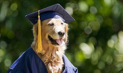 快讯：融创单招帮你“选好专业、考好大学”活动启动